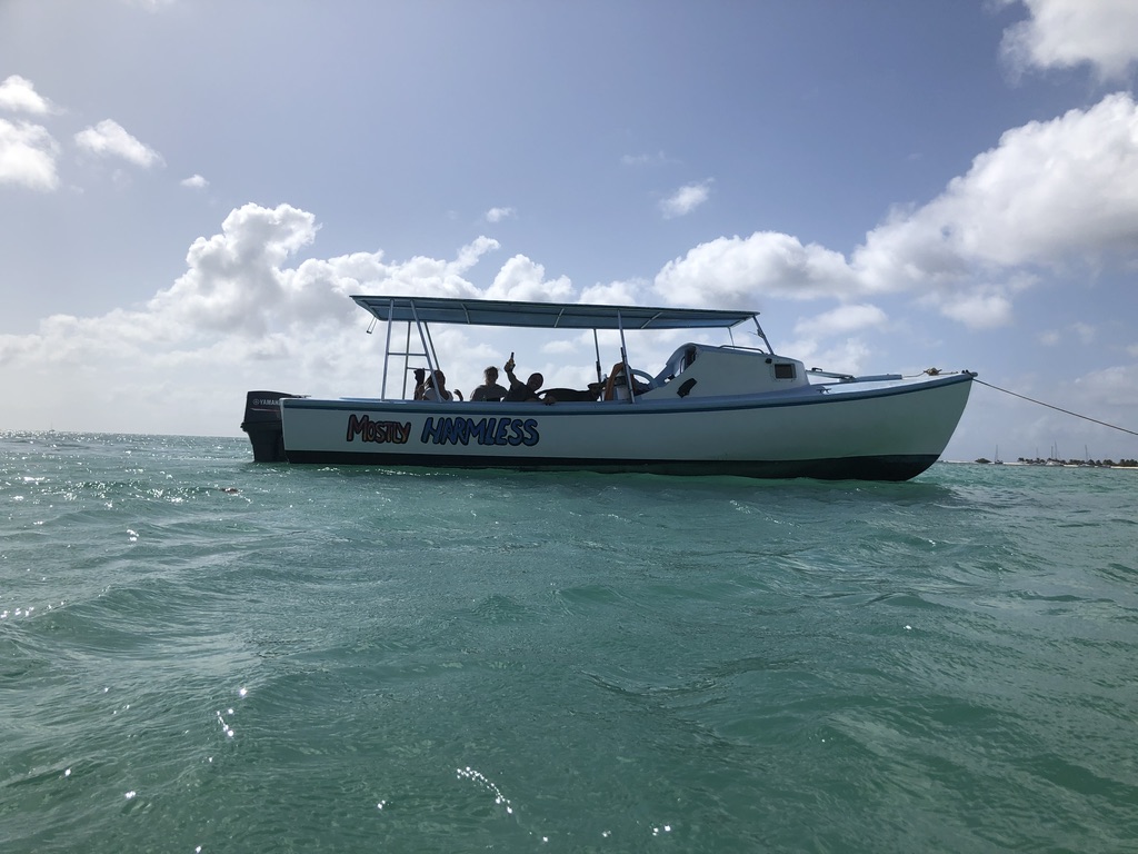 unadjustednonraw thumb 79d